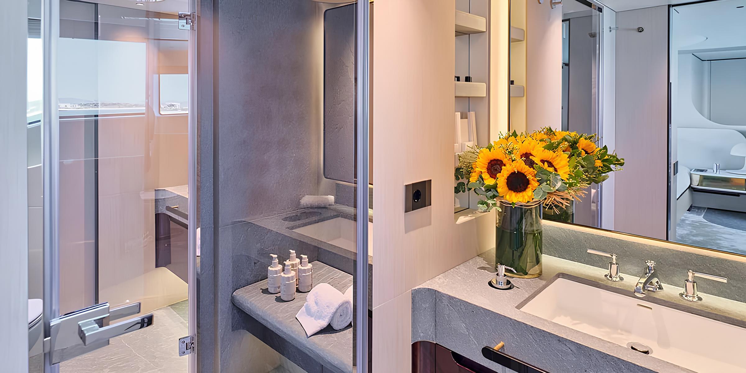 Санузел владельца/Master bathroom