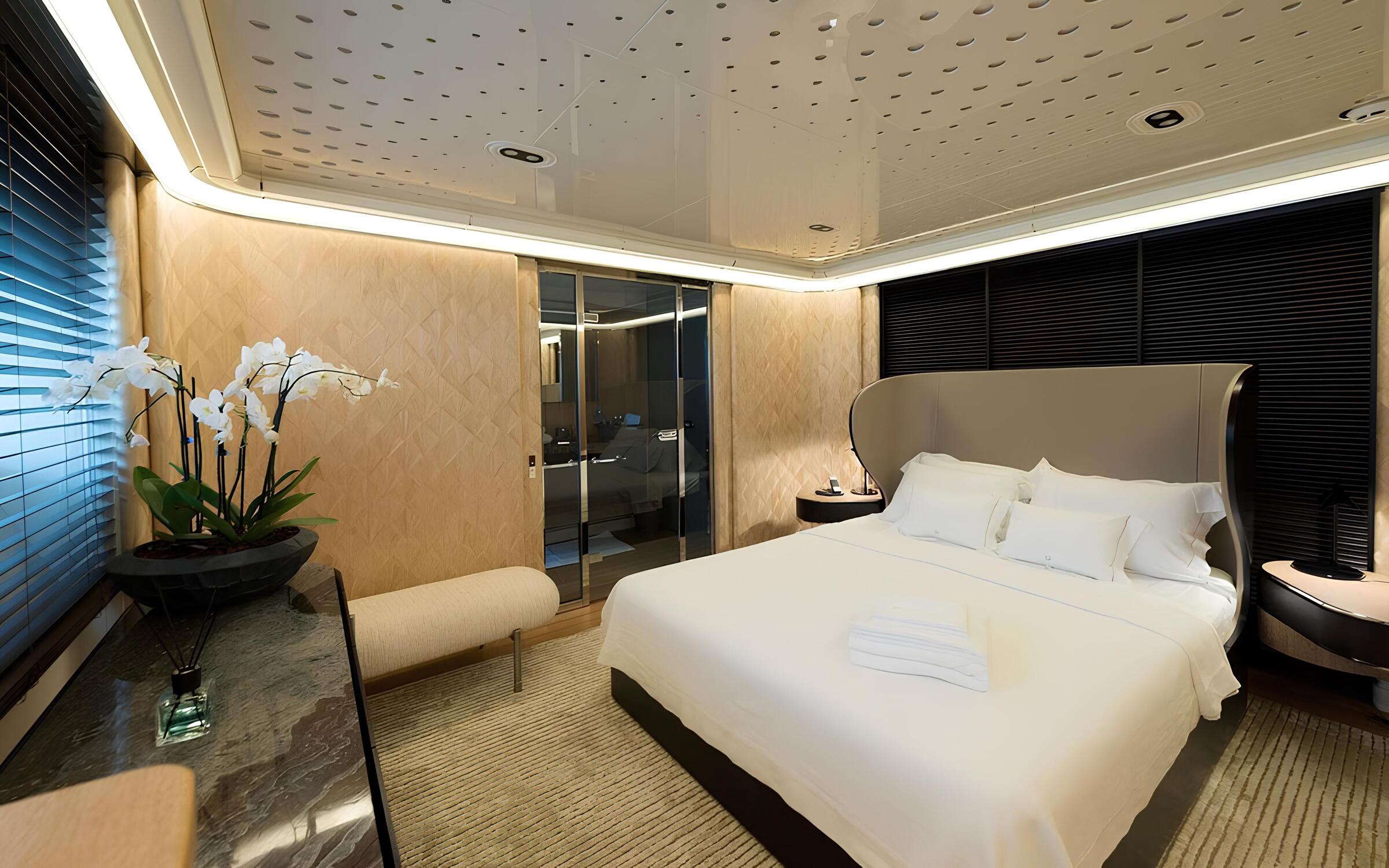 VIP-каюта/VIP cabin